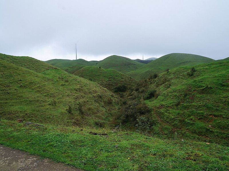 南山牧场